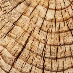 Indoor/Outdoor Faux Concrete Stump Accent Table Brown - Threshold™ Designed With Studio McGee -Living Room Furniture Store GUEST 03deabfd 2b62 4725 94b4 09a321ea8678