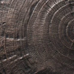 Grantsville Drum Accent Table Black - Threshold™ Designed With Studio McGee -Living Room Furniture Store GUEST 2a48e59f 9a1e 4d95 a641 6710dbd36ebe